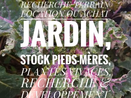 recherche terrain (agricole/pré/forêt) pour jardin  pépinière  production fruits  collecti