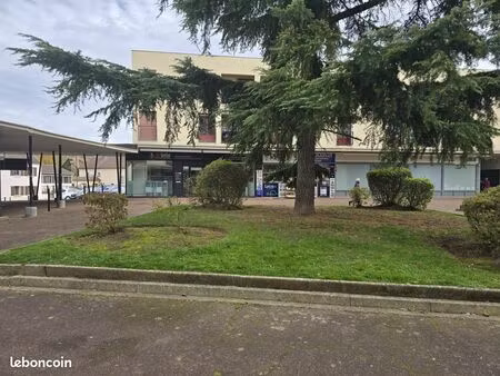 local commercial plaisir