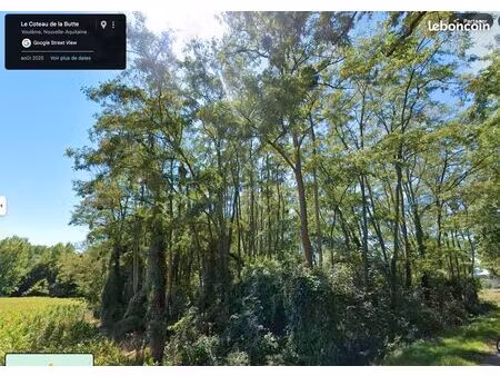 bois de taillis avec accès routier