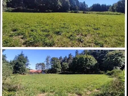 terrain constructible 1772 m² lapte