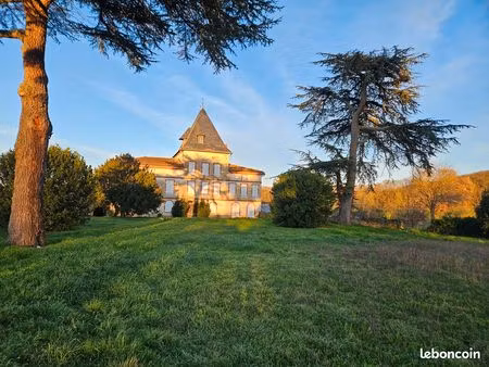 château de caractère – 660 m² – 2 7 hectares – bord de garonne – proche carbonne