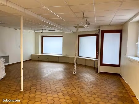 local professionnel – idéal bureaux ou activités de services