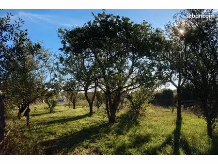 terrain de jardinage