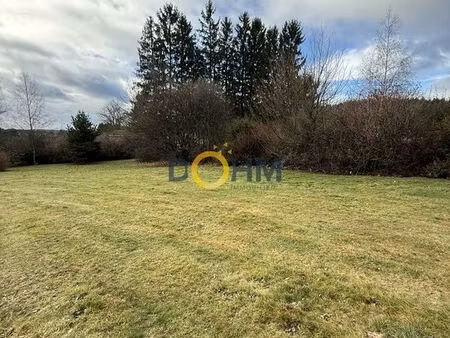 terrain 881 m² saint-pal-de-mons