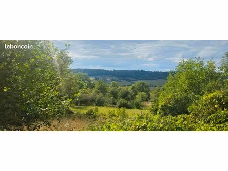 verger 2396 m² avec arbres fruitiers  serre et cabane – langres (52)