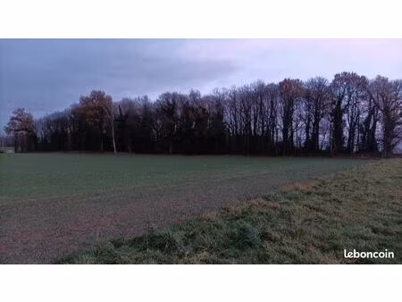 recherche parcelle bois ou taillis