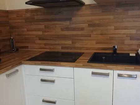 appartement 55 m2 centre ville 1 chambre