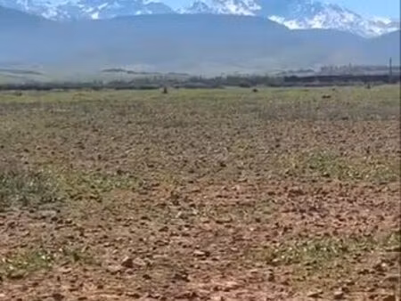 terrain a.venfldre.a marrakech