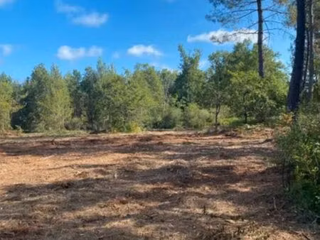 terrain à louer salle