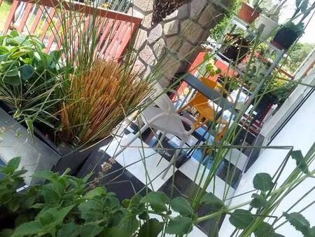 chambre avec sa sdb & son coin cuisine séparés et privatifs dans un ecrin de verdure