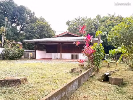 a louer maison t3 individuelle avec jardin a remire-montjoly