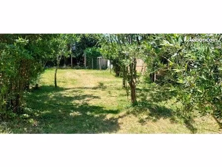 location appartement t2