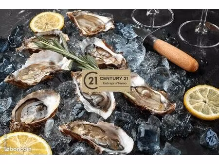 restaurant 625 m² gujan mestras