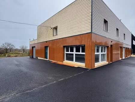 local d'activité 197m²