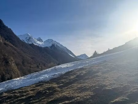 recherche appartement  location