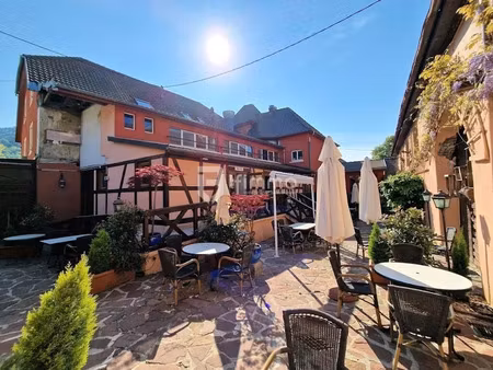 vente locaux professionnels 1220 m² à moosch (68690)  870 000 €