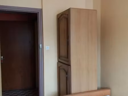 location meublée appartement 1 pièce 20 m² à saint-die-des-vosges (88100)  345 €