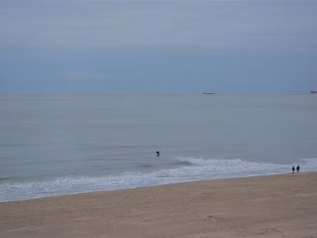 appartement à louer à knokke € 2.300 (lkzss) - stubbe vastgoedpartners bvba | zimmo