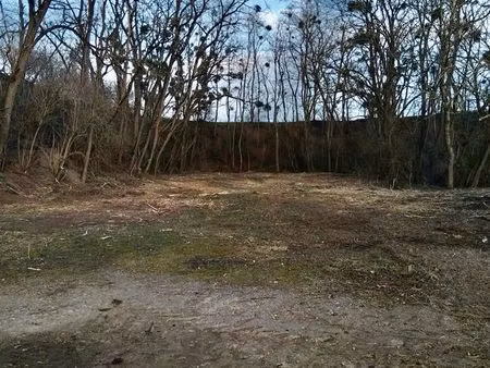 terrain à vendre