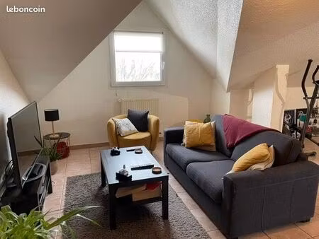 ville-en-sallaz 74250  f2 avec garage et cave