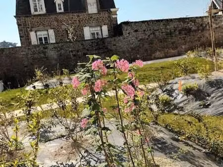 vente appartement t1 à saint-malo (35400) : à vendre t1 / 53m² saint-malo