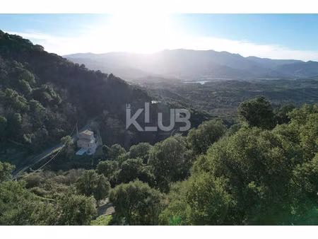 terrain constructible-1550 m2-poggio d oletta (nebbio)vue dégagée