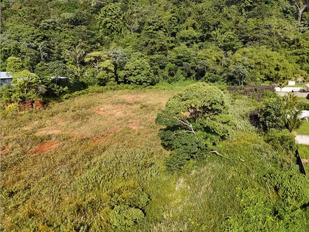 terrain remire montjoly 1200 m2