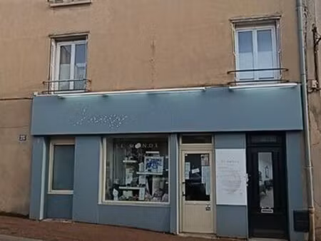 immeuble centre ville 310m²