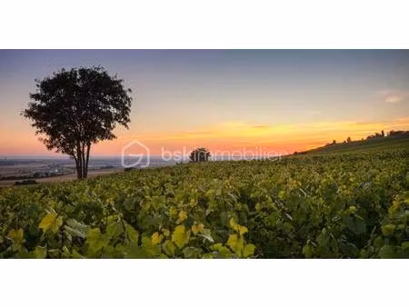 terrain agricole de 16 310 m² à rieux-minervois
