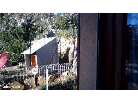 parcelle de jardin à louer