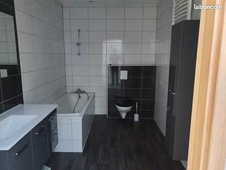 loue appartement hyper centre thionville