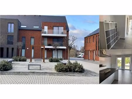 appartement à louer à guillaume maréchal 2 juprelle (vwd16651)