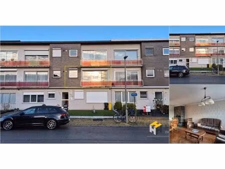 appartement à louer à olmenlaan 15 hoevenen (rbv27319)