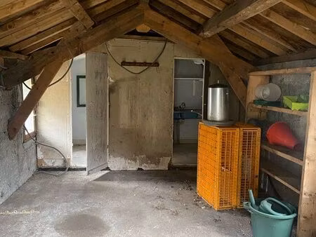 vente terrain avec sont petit îlot