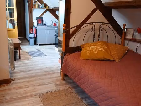 appartement loft meublé en centre-ville