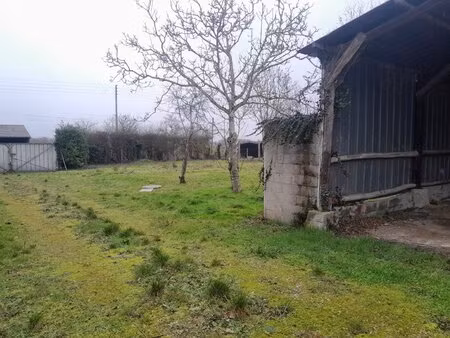 terrain constructible