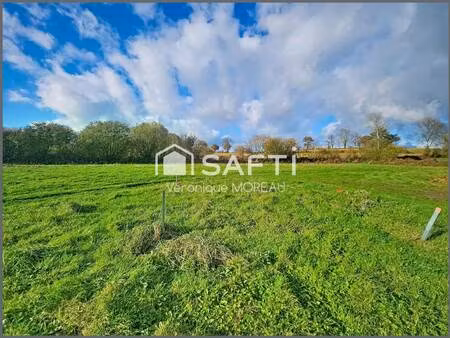 terrain constructible viabilisé à vendre