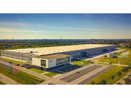 commercieel te huur in bornem