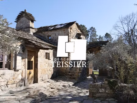 achat maison 18 pièces 270m² bordezac 30160