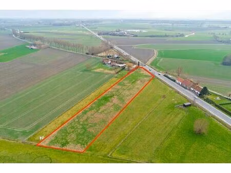 landbouwgrond (weiland)