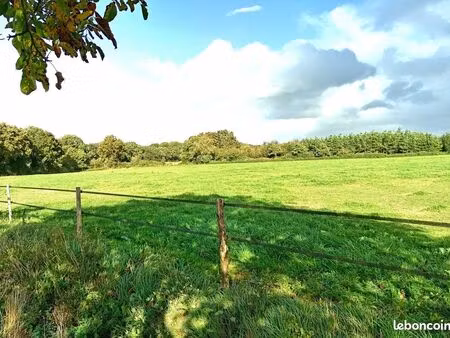 terrain 170000 m² riaillé