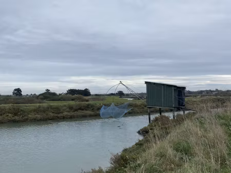 saint-hilaire-de-riez - parcelle de marais avec pecherie