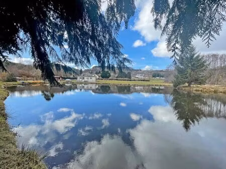 vente terrain 8875 m² moux-en-morvan (58230)