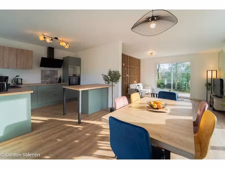 vente maison 5 pièces 120 m² à bretagne-de-marsan (40280)  295 000 €