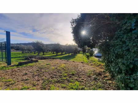 vente terrain 1124 m² quissac (30260)