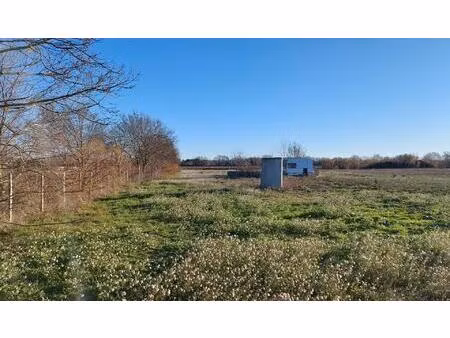 vente terrain 8750 m² le cailar (30740)