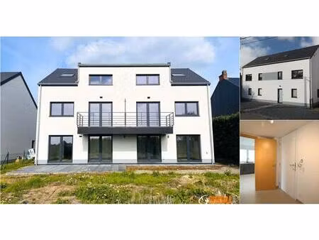 appartement à louer à rue du coq 33 anderlues (vbd87165)