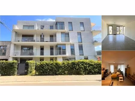 appartement à louer à boomlaarstraat 228 lier (rbv27175)