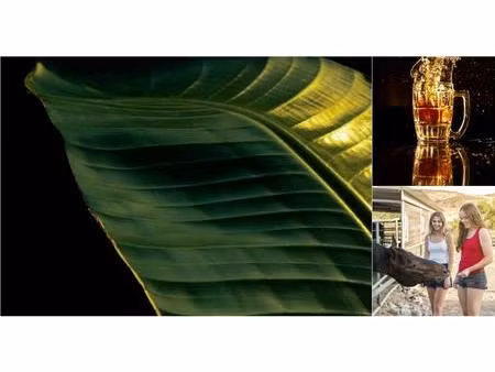 loft à vendre à rue du test 31 kalken (rwc41534)