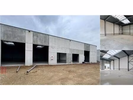 surface industrielle à louer à / / alost (rbv27644)